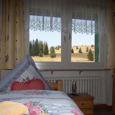Berggasthof-Pension Todtnauer Hutte Фельдберг Экстерьер фото