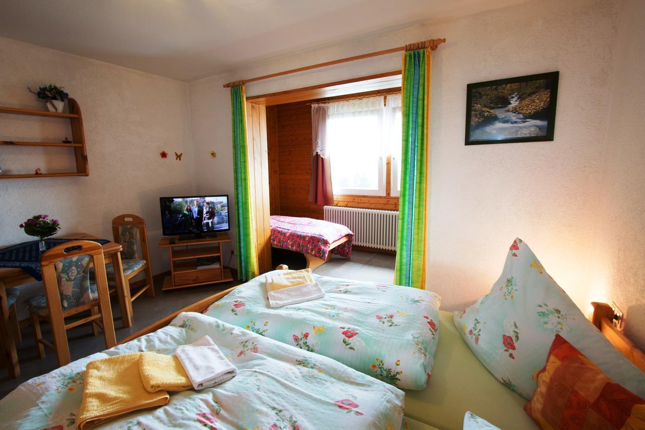 Berggasthof-Pension Todtnauer Hutte Фельдберг Номер фото