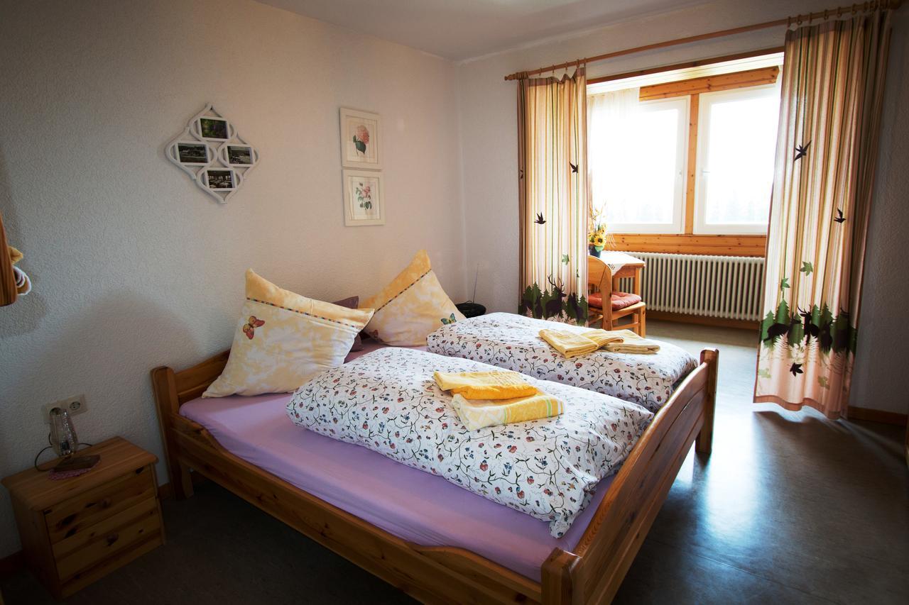 Berggasthof-Pension Todtnauer Hutte Фельдберг Экстерьер фото