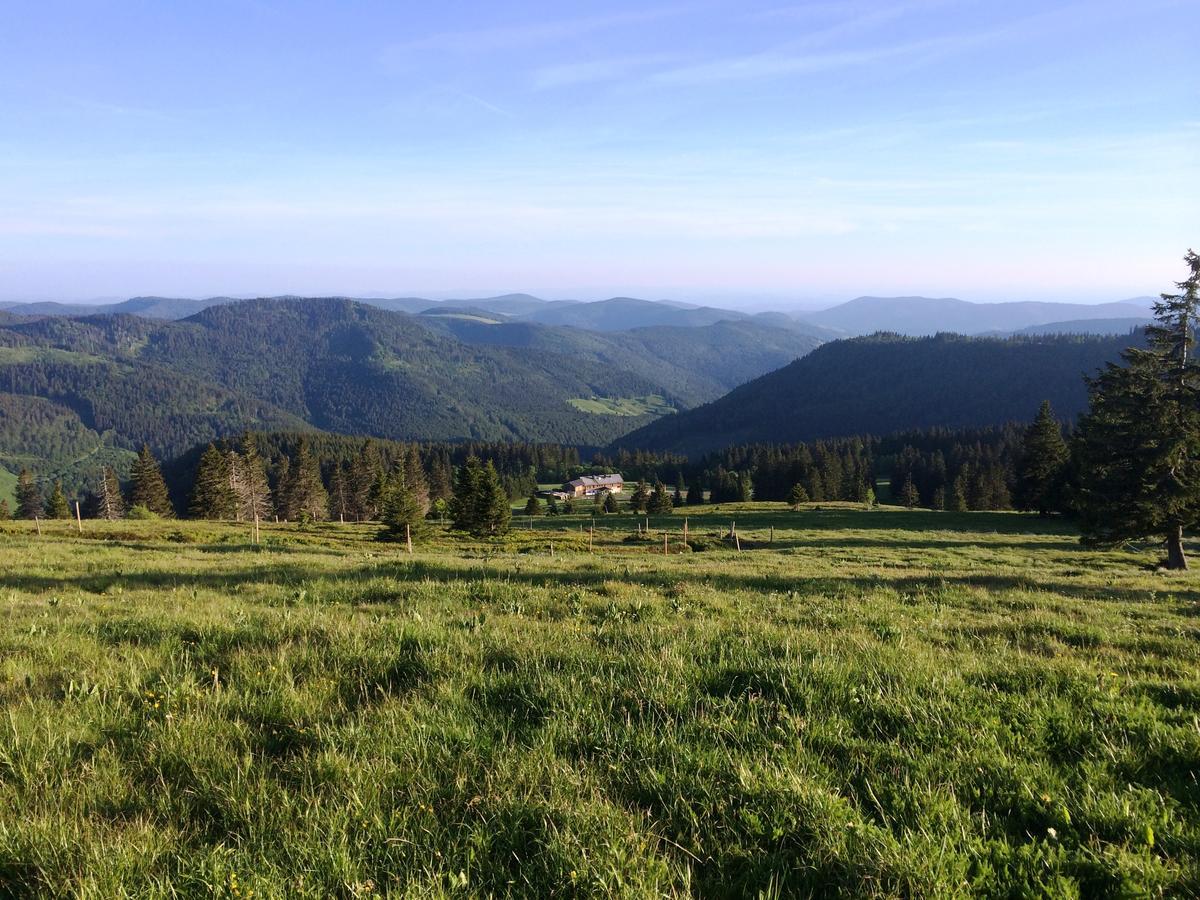 Berggasthof-Pension Todtnauer Hutte Фельдберг Экстерьер фото