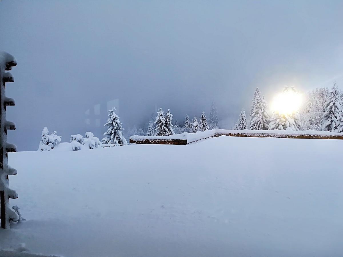 Berggasthof-Pension Todtnauer Hutte Фельдберг Экстерьер фото